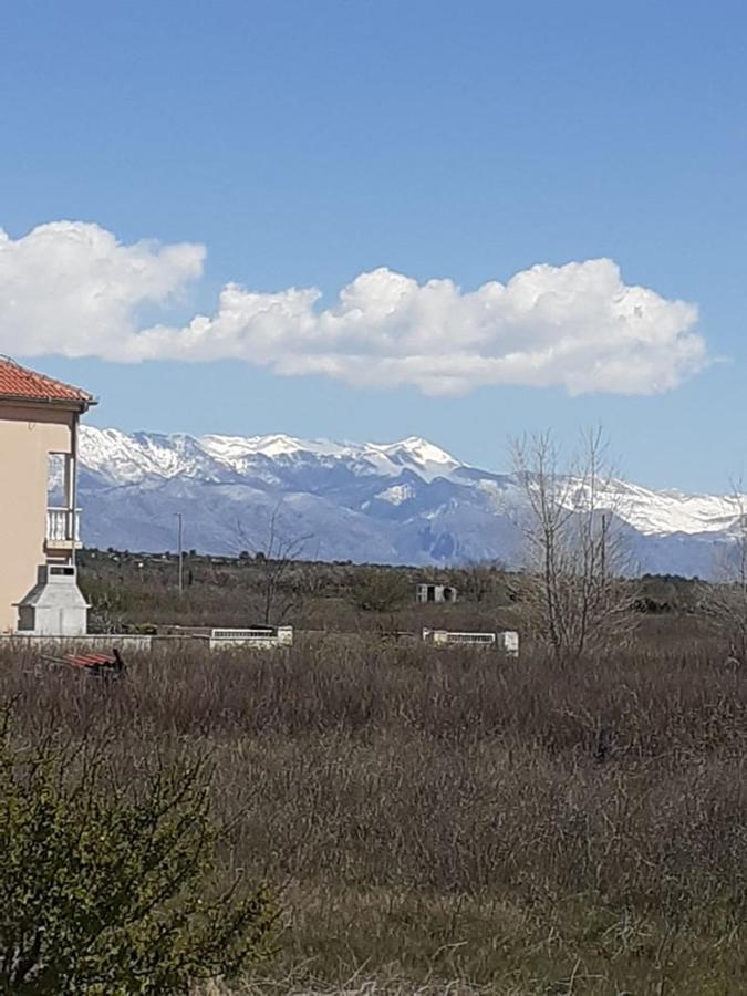 Apartman Sunce Nin Exteriör bild